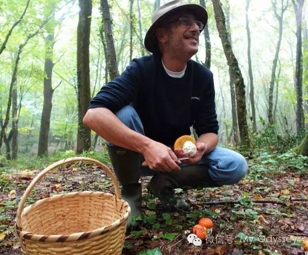 格雷韦纳“蘑菇狩猎”节