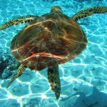 扎金索斯浪漫航行之旅 第5天