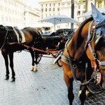 浓情蜜“意”之旅 第2天