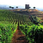 浓情蜜“意”之旅 第3天