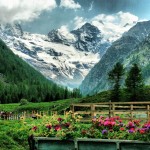 意大利北部冬季缤纷体验之旅 <span>(法拉利试驾·滑雪·品酒·松露采摘)</span> 第4天