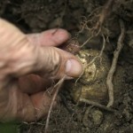 意大利北部冬季缤纷体验之旅 <span>(法拉利试驾·滑雪·品酒·松露采摘)</span> 第6天